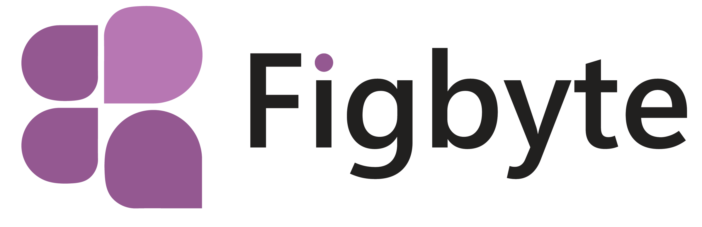 Fig-Byte